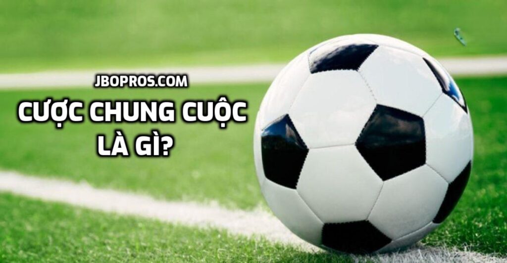 Cược chung cuộc là gì?