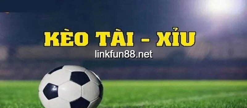 Cá cược kèo Tài Xỉu AFF Cup 2025