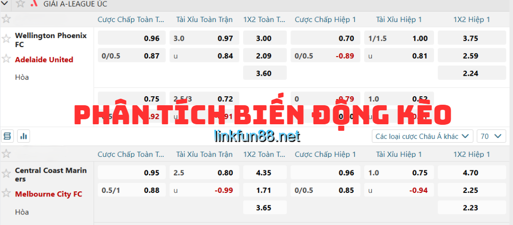 Hướng dẫn cách phân tích biến động