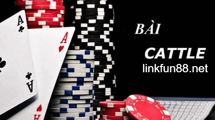 Tìm hiểu Cát Tê