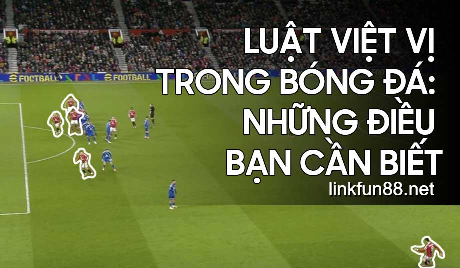 Bóng đá và những thông tin cần biết