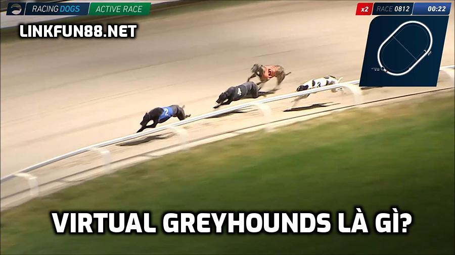 Virtual Greyhounds là gì?