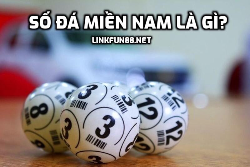 Số đá miền Nam là gì?