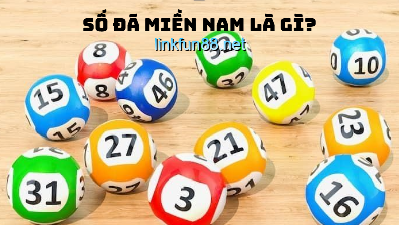 Số đá miền Nam là gì?