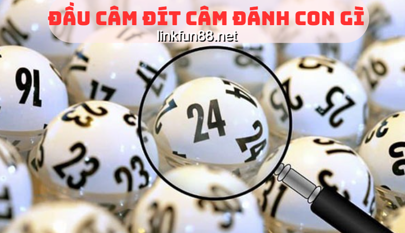 Đánh con gì